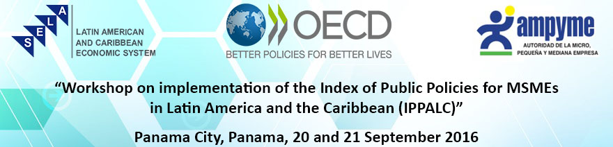 Workshop on implementation of the Index of Public Policies for MSMEs in Latin America and the Caribbean (IPPALC)