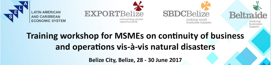 Training workshop for MSMEs on continuity of business and operations vis-à-vis natural disasters