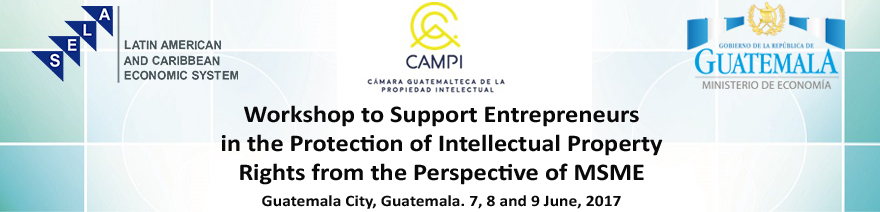 Workshop to Support Entrepreneurs in the Protection of Intellectual Property Rights: Protection of Trademarks and Patents from the Perspective of Micro, Small and Medium-Sized Enterprises (MSMEs)