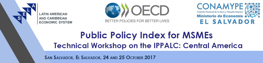 Technical Workshop on the Public Policy Index for Msmes in Latin America and the Caribbean (IPPALC): Central America