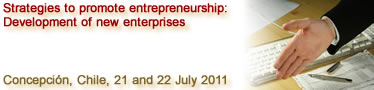 Strategies to promote entrepreneurship: Development of new enterprises