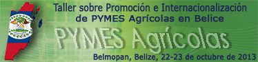Taller sobre Promoción e Internacionalización de las PYMES agrícolas