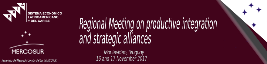 Regional Meeting on productive integration and strategic alliances