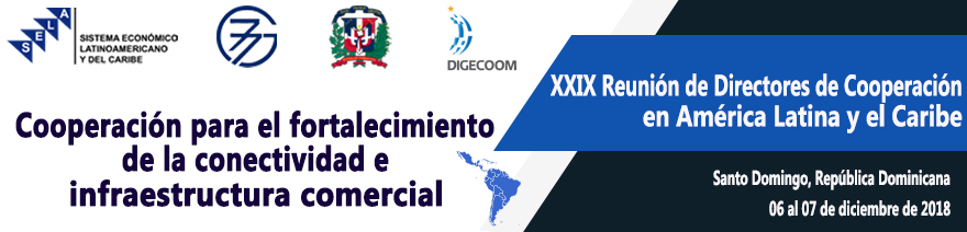 XXIX Reunión de Directores de Cooperación: Fortalecimiento de la conectividad e infraestructura comercial